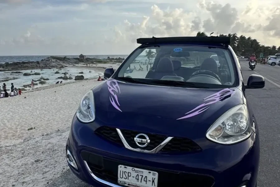 Automatic Buggy Rental