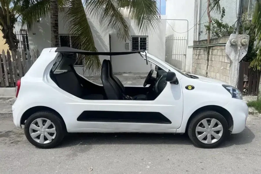 Manual Buggy Rental