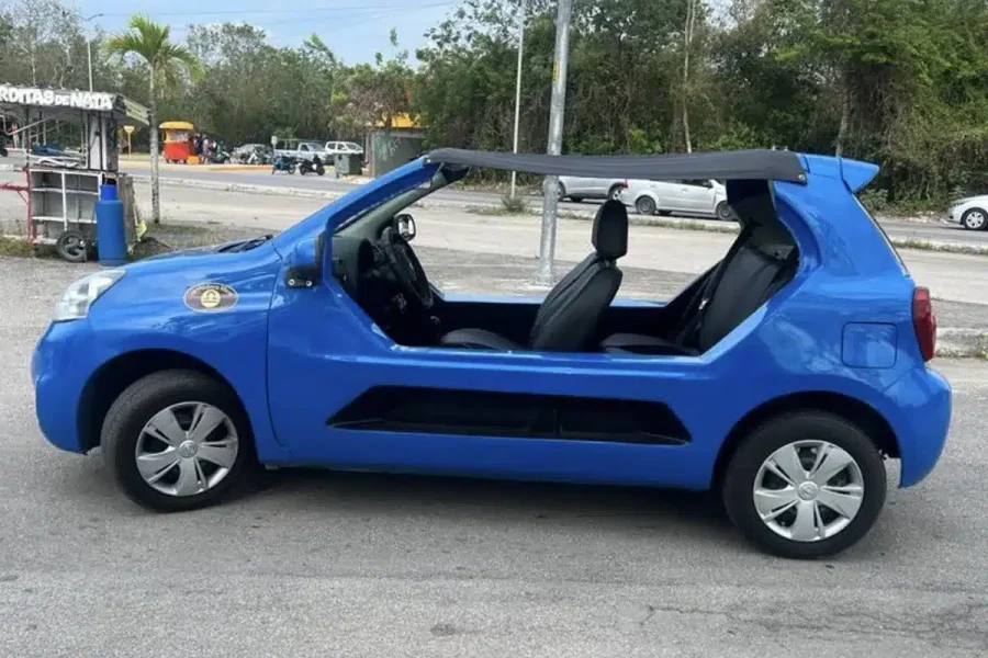Manual Buggy Rental