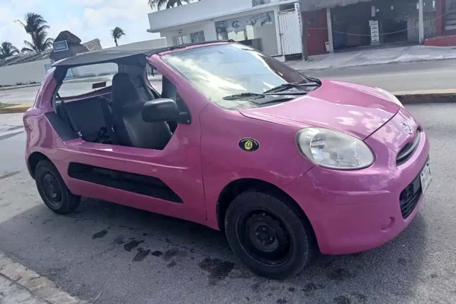Manual Buggy Rental
