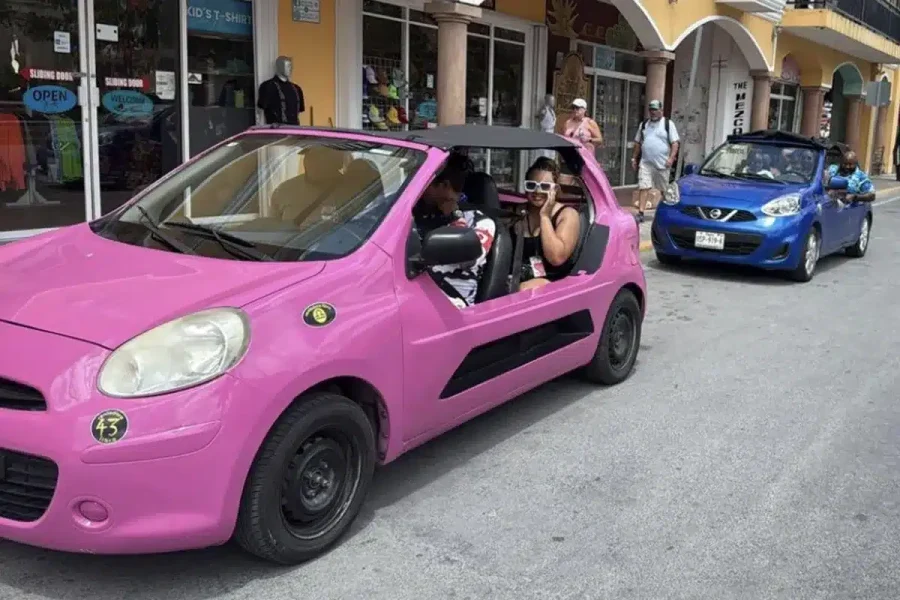 Manual Buggy Rental