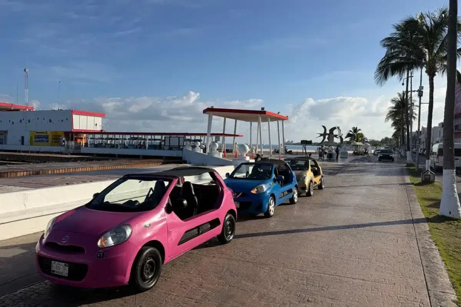 Manual Buggy Rental