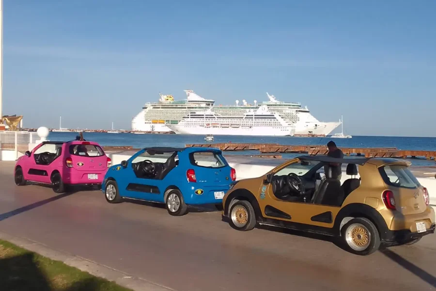 Manual Buggy Rental