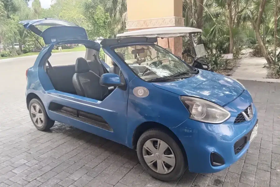 Manual Buggy Rental