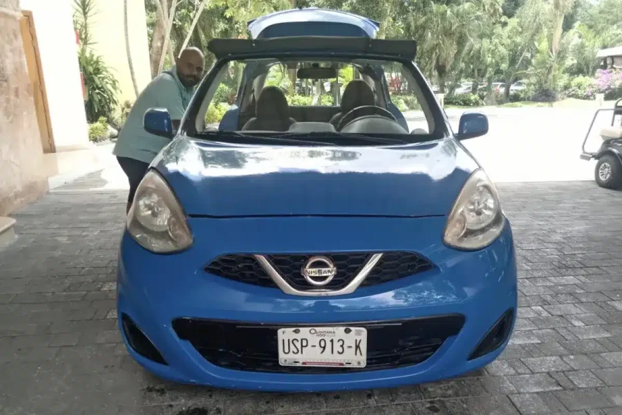 Manual Buggy Rental